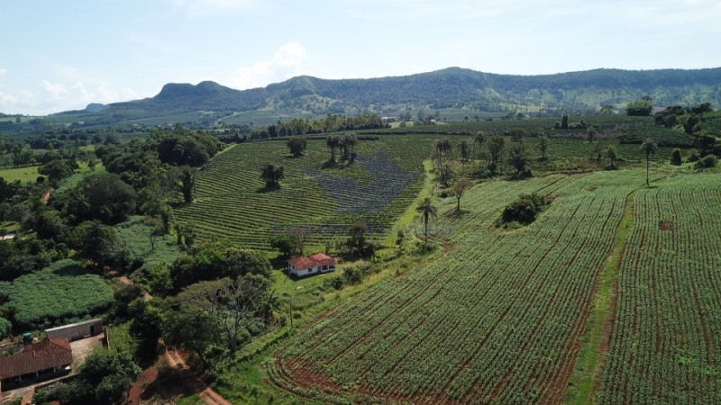 Fazenda à venda com 4 quartos - Foto 7
