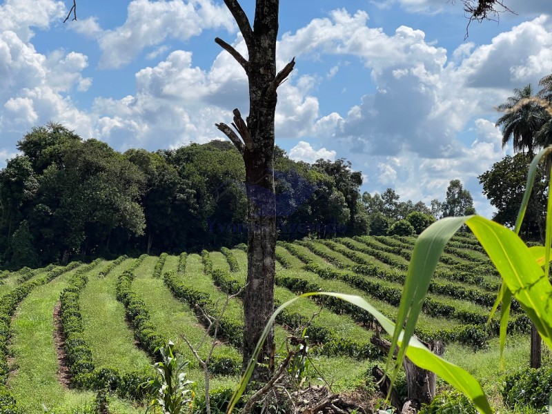 Fazenda à venda com 4 quartos - Foto 11