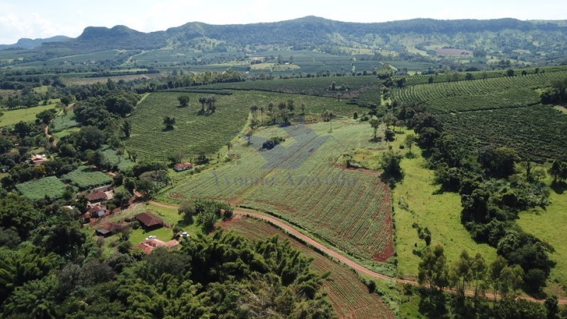 Fazenda à venda com 4 quartos - Foto 6