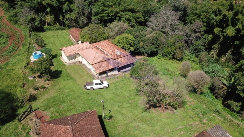 Fazenda à venda com 4 quartos - Foto 4