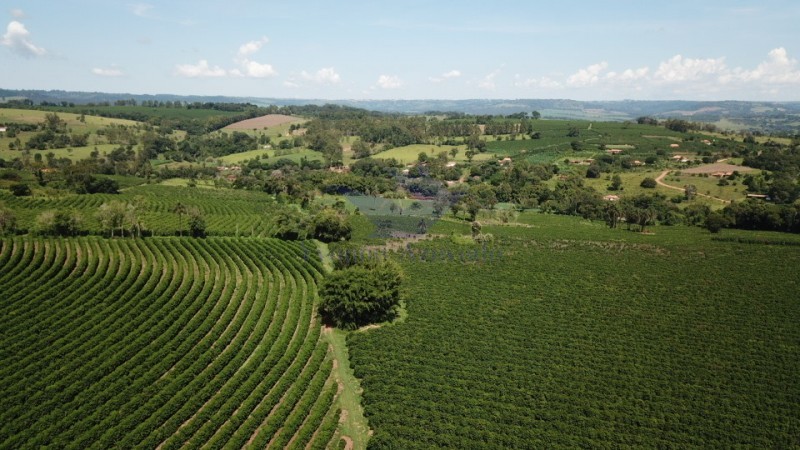 Fazenda à venda com 4 quartos - Foto 5
